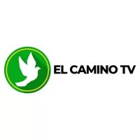 TV El Camino
